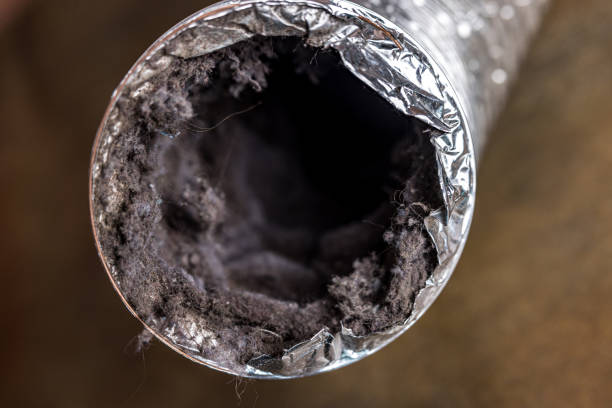 Best Affordable HVAC Duct Cleaning  in Hemet, CA